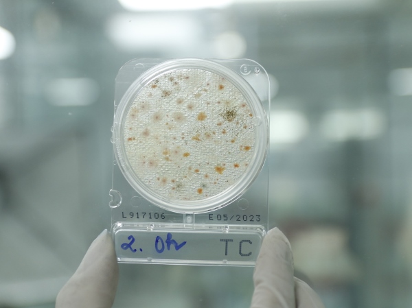 Các loại môi trường nuôi cấy vi sinh vật dựa trên ứng dụng/thành phần hóa học