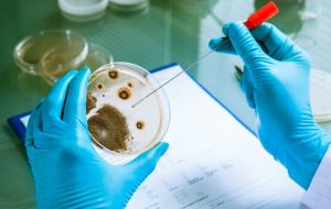 Công nghệ vi sinh là lĩnh vực ứng dụng hoạt động sống của vi sinh vật có lợi để phục vụ đời sống và sản xuất công nghiệp