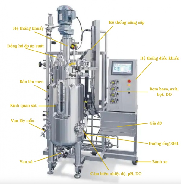 Cấu tạo hệ thống lên men vi sinh
