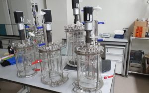 Một số lưu ý khi vận hành thiết bị lên men