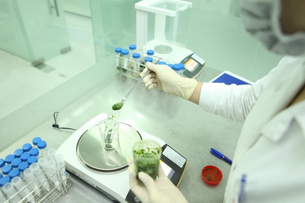 Kiểm soát vi sinh vật trong thực phẩm​ bằng phương pháp dựa trên bacteriophage