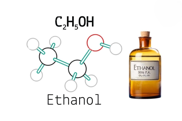 Lên men ethanol là quá trình kỵ khí do nấm men thực hiện, chuyển hóa đường thành ethanol và CO₂