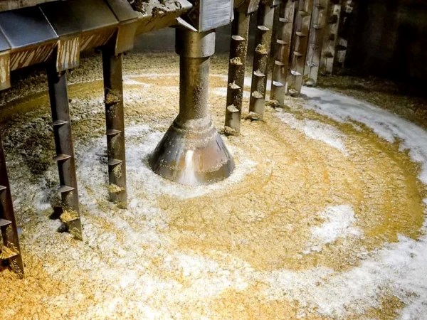 Tinh bột phải được thủy phân bằng enzyme amylase thành đường trước khi lên men rượu ethanol