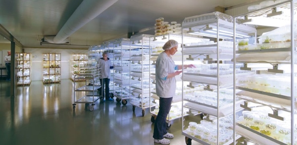 Luôn giữ môi trường, dụng cụ và không gian làm việc sạch sẽ khi thực hiện phương pháp nuôi cấy vi sinh vật