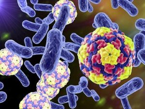 Vi sinh vật là các sinh vật có kích thước cực nhỏ bao gồm sinh vật đơn bào hoặc đa bào, nhân sơ và nhân thực