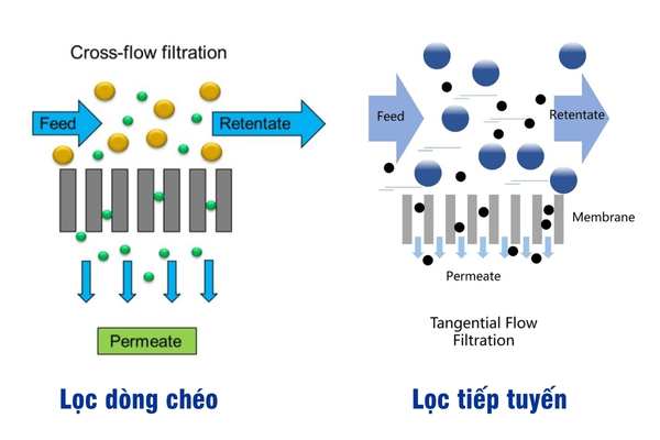 Phân biệt lọc dòng chéo và lọc dòng tiếp tuyến, gợi ý lựa chọn công nghệ phù hợp