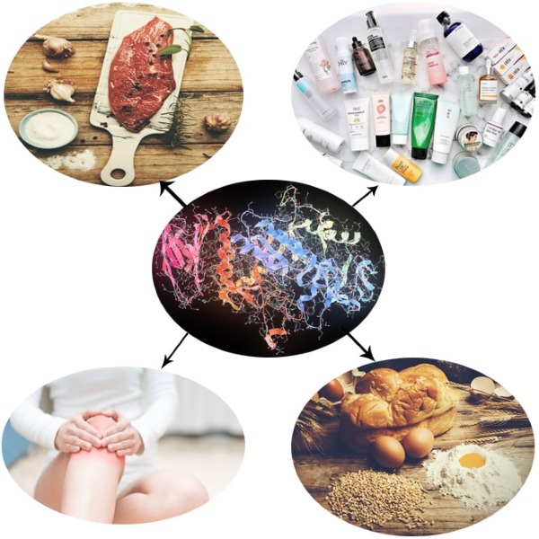 Công nghệ enzyme tiết kiệm năng lượng và giảm thiểu hóa chất độc hại