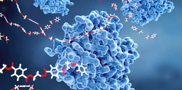 Công nghệ enzyme hiện diện trong mọi ngóc ngách đời sống, giúp cuộc sống an toàn và bền vững hơn