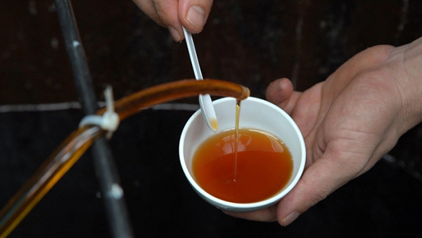 Ứng dụng lên men chìm trong sản xuất nước mắm