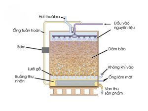Quá trình lên men giấm là sự biến đổi kỳ diệu từ rượu thành axit axetic