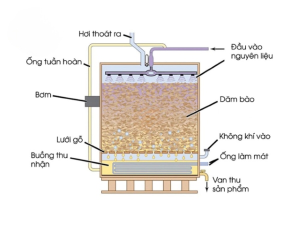 Quá trình lên men giấm là sự biến đổi kỳ diệu từ rượu thành axit axetic