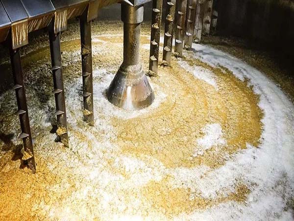 Thời gian lên men hiếu khí ngắn hơn nhờ năng lượng dồi dào và trao đổi chất hiệu quả