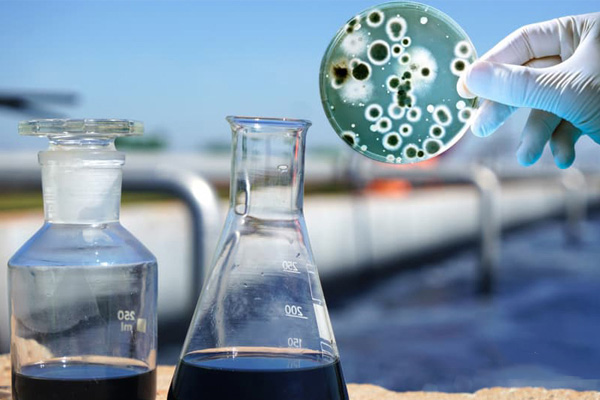 Ứng dụng lên men hiếu khí trong xử lý nước thải