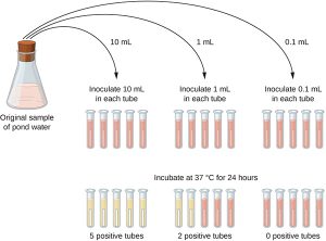 Hình ảnh minh họa phương pháp MPN với dãy ống nghiệm