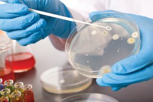 Phương pháp MPN sử dụng nguyên tắc pha loãng tới hạn để ước lượng số lượng vi sinh vật khả thi