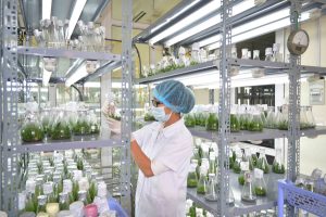 Chỉ một sơ suất nhỏ cũng có thể làm hỏng cả lô mẫu