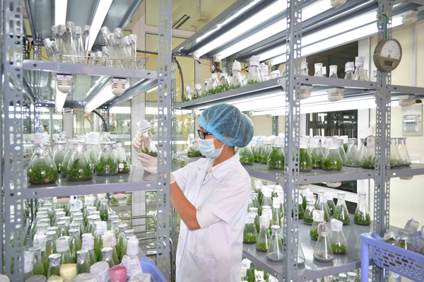 Chỉ một sơ suất nhỏ cũng có thể làm hỏng cả lô mẫu