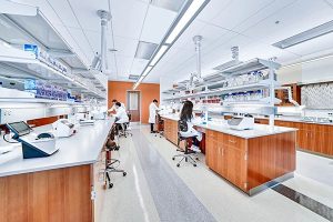 Không gian phòng thí nghiệm vi sinh đạt an toàn sinh học