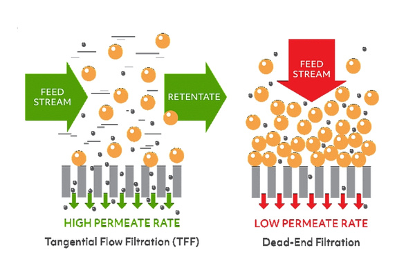 Hệ thống TFF là thiết bị tách tế bào hiệu quả, không gây tổn thương tế bào
