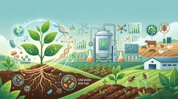 Chế phẩm sinh học là giải pháp đột phá thay thế hóa chất trong nông nghiệp hiện đại