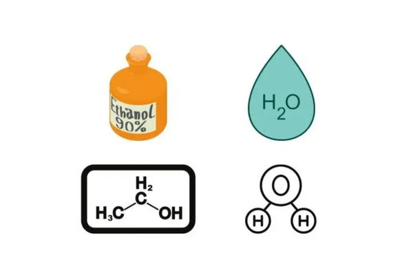 Nước, ethanol và methanol là những ví dụ điển hình của dung môi phân cực protic