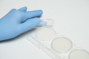 Màng lọc vi sinh giúp kiểm soát vi sinh vật tại hệ thống bioreactor và lên men