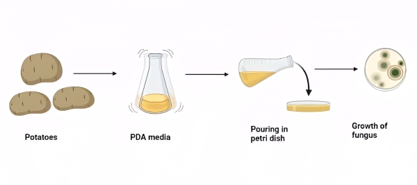Ứng dụng trong nghiên cứu, kiểm nghiệm thực phẩm, dược phẩm và nông nghiệp