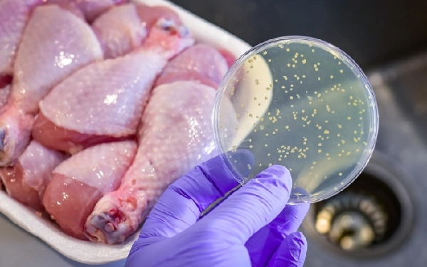 Gia tăng tổng số vi sinh vật hiếu khí trong thực phẩm có thể gây biến đổi kết cấu sản phẩm