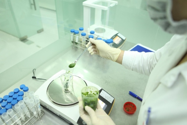 Kiểm soát tổng số vi sinh vật hiếu khí giúp nâng cao chất lượng và kéo dài hạn sử dụng thực phẩm