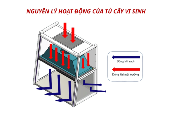 Luồng khí qua màng lọc HEPA tạo môi trường làm việc sạch 99,99%