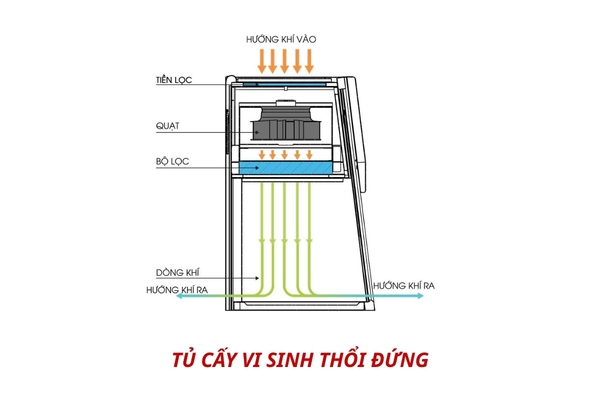 Tủ cấy vi sinh thổi đứng với luồng khí sạch thổi thẳng từ trên xuống, giảm thiểu nhiễm chéo giữa các mẫu