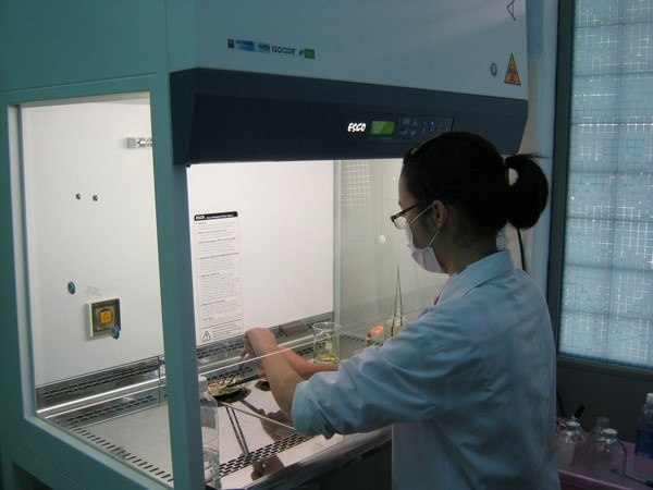 Quy trình sử dụng và bảo dưỡng tủ cấy vi sinh đúng kỹ thuật