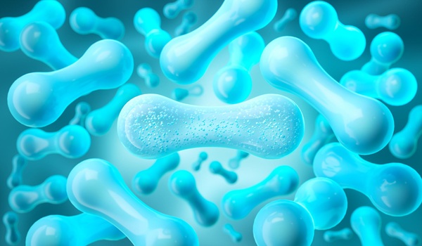 Minh họa 3D về vi khuẩn Lactobacillus, một loại lợi khuẩn probiotic phổ biến