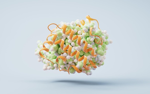 Minh họa 3D cho cấu trúc phân tử protein hữu cơ sinh học