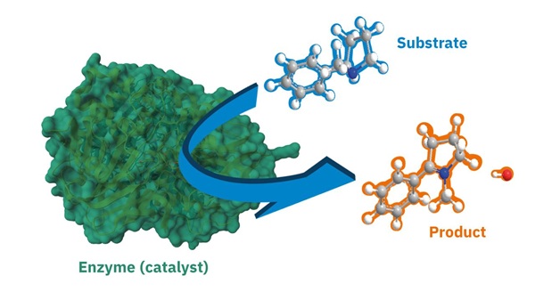 Sơ đồ cơ chế enzyme chuyển hóa chất nền thành sản phẩm