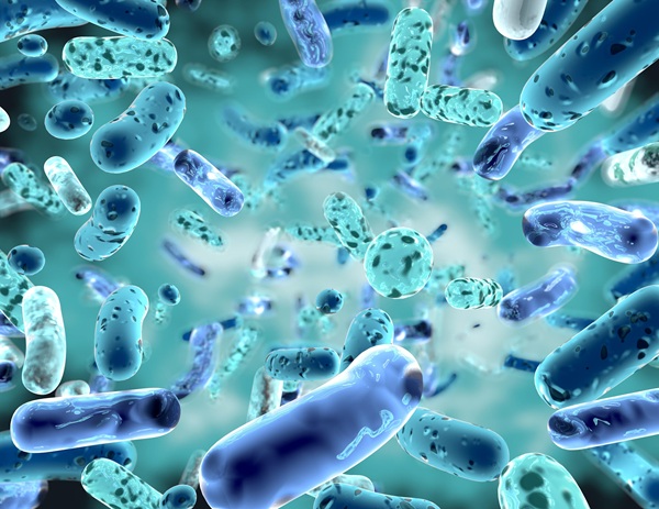 Probiotic là vi sinh vật sống có lợi, tồn tại và phát huy tác động trong cơ thể