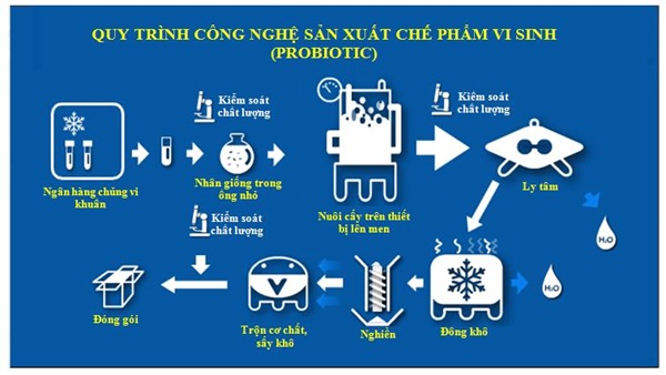 Quy trình sản xuất chế phẩm sinh học probiotic